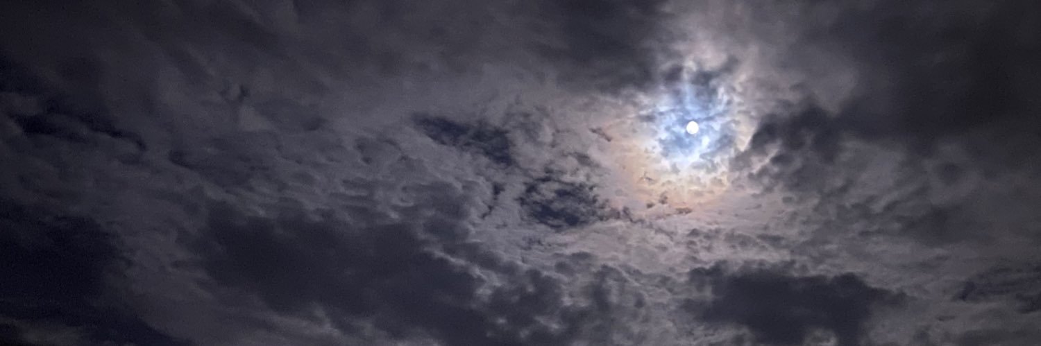 angelapamiess's profile banner image