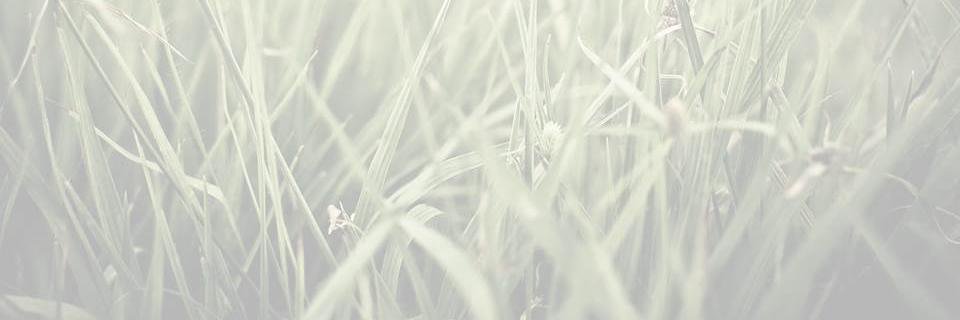 SHED_LD's profile banner image