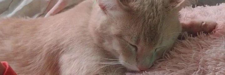 valentainn4's profile banner image