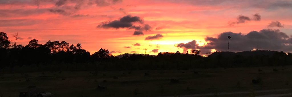 Mc1693's profile banner image