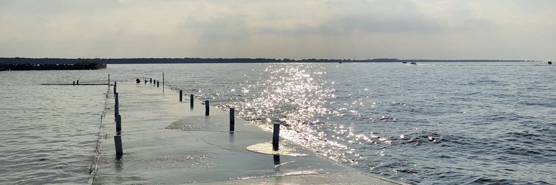 selmersax79's profile banner image