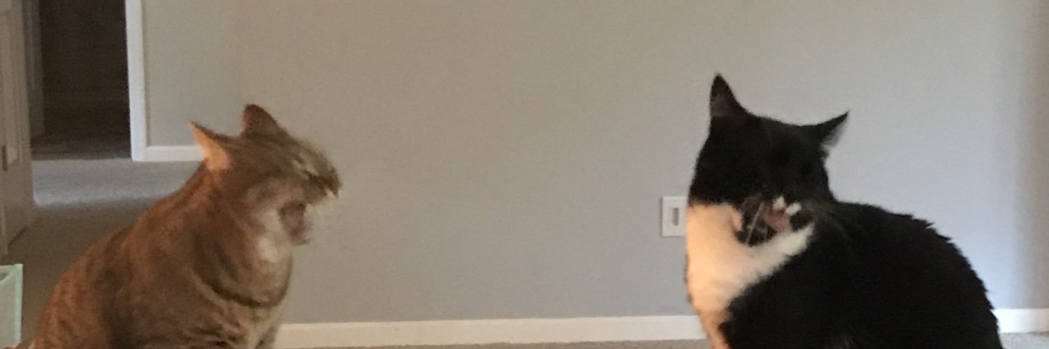 ohthatkelli's profile banner image