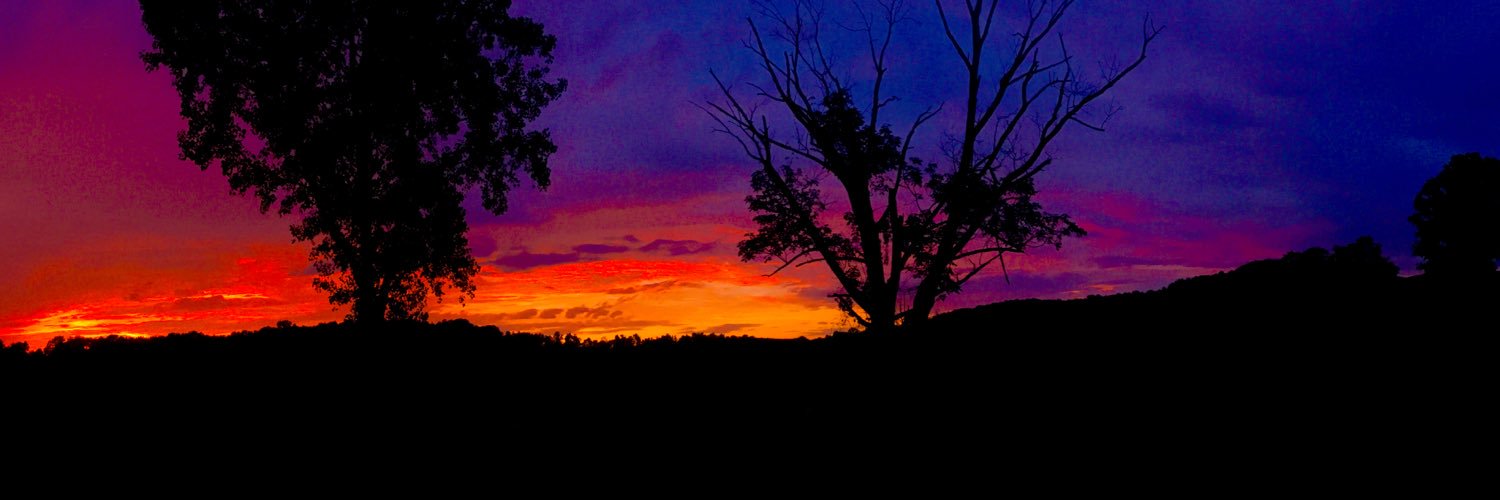 Higgybear76's profile banner image