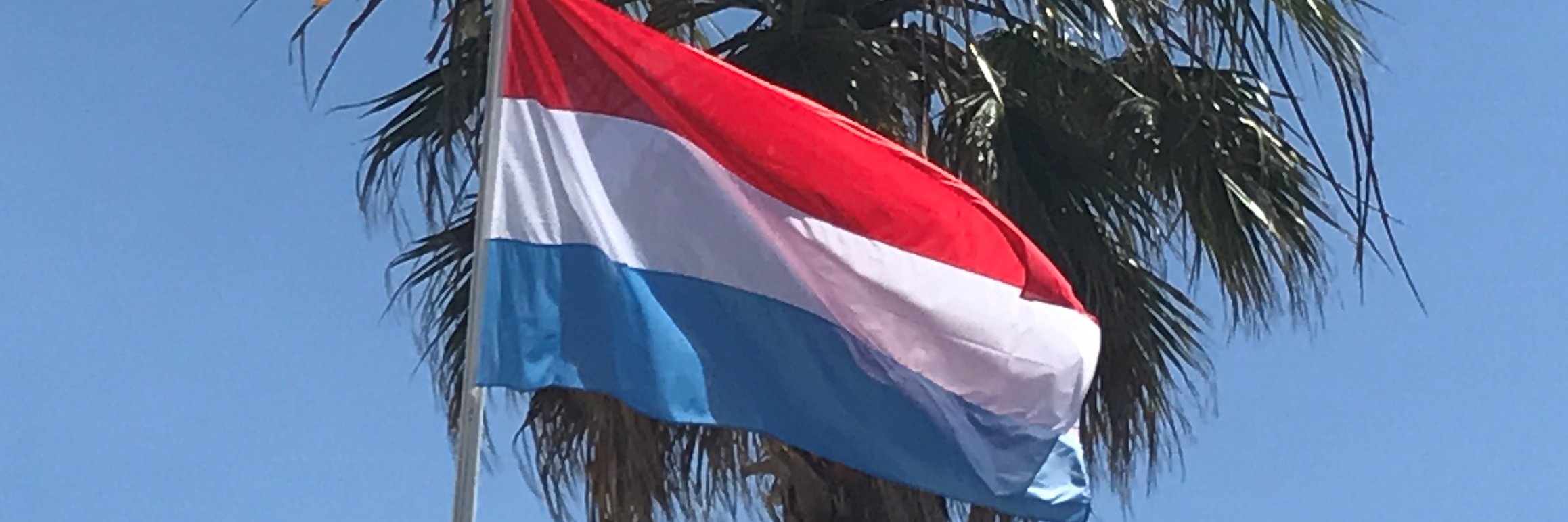 Consul Lux @ Nice banner