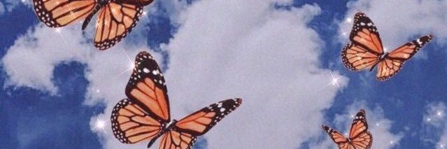 LawrenceKailey's profile banner image