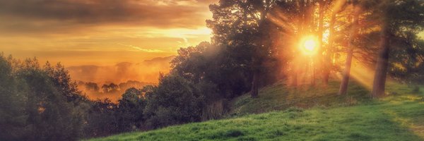jmeppley Profile Banner