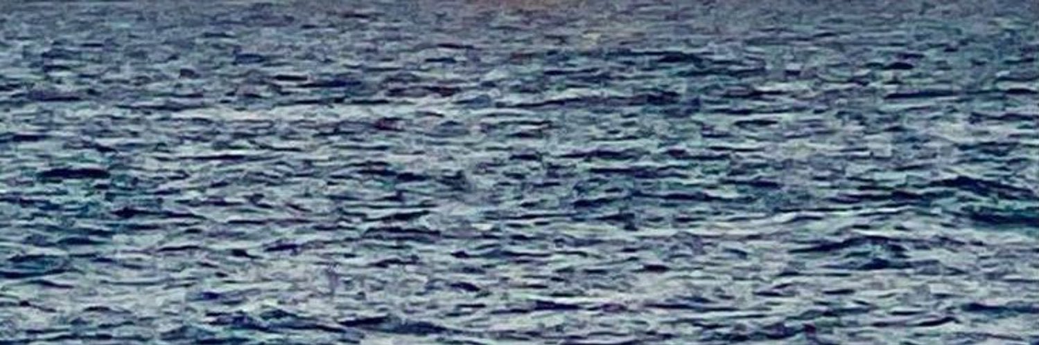 크리☃︎'s banner