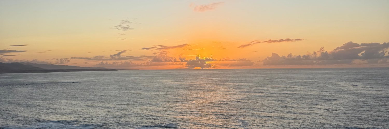 𝙸𝚛𝚎𝚗𝚎 :) banner