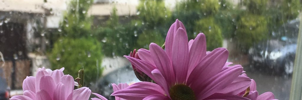 AleesAbeer's profile banner image