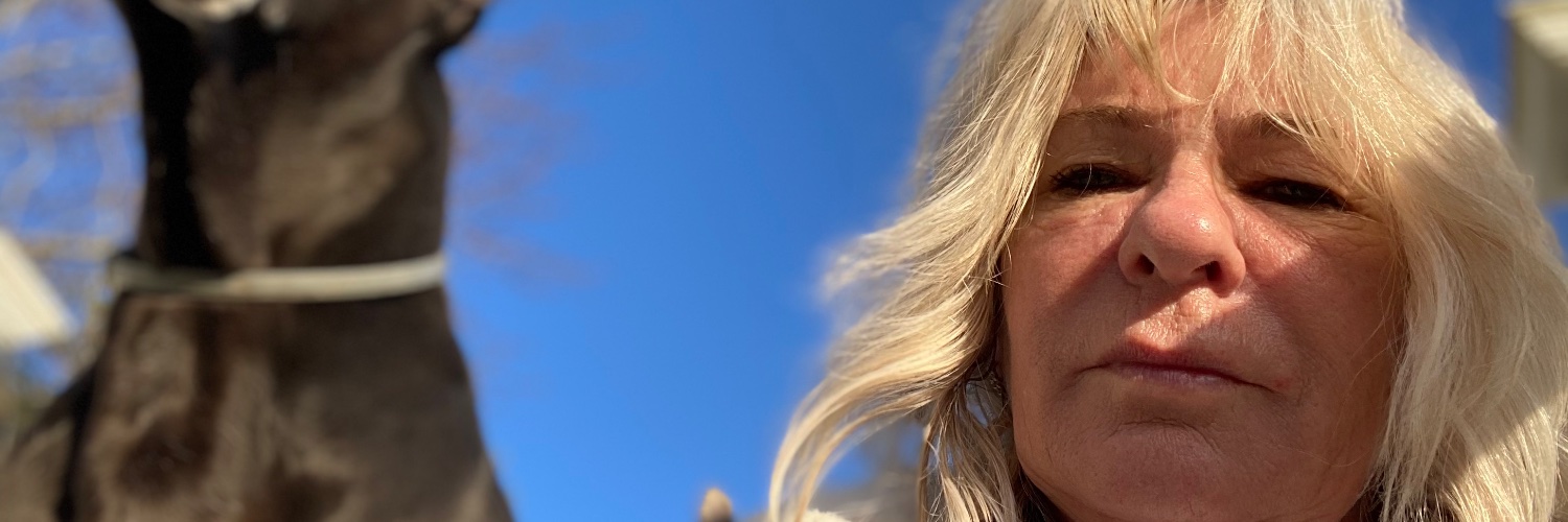 DawnDanes's profile banner image
