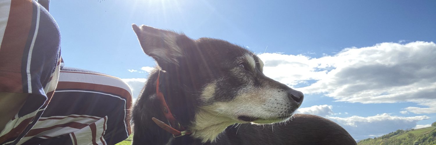doodlepipkin's profile banner image