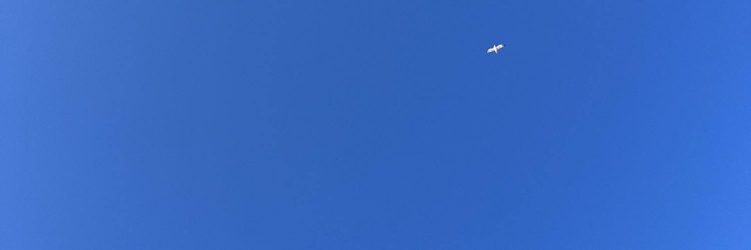 ୨୧ banner