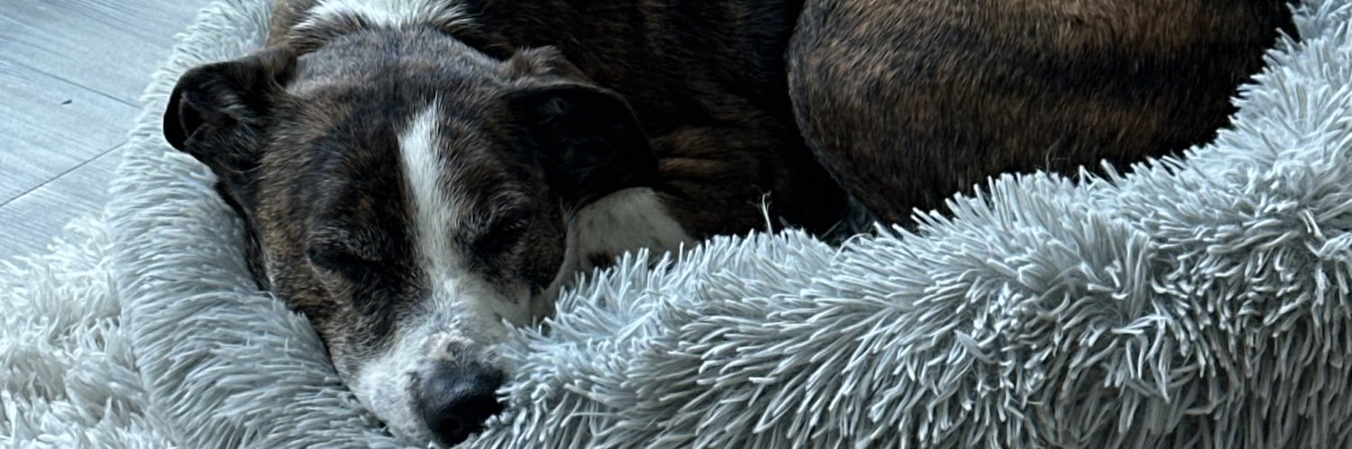 JoeTedds's profile banner image