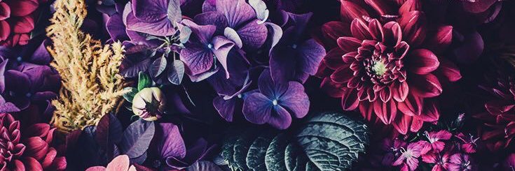 ofkings_t's profile banner image
