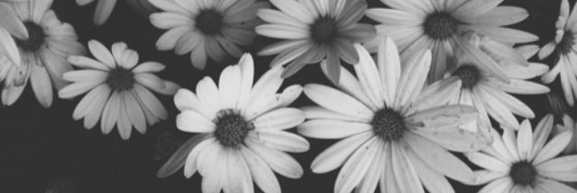 melissa_corbin's profile banner image