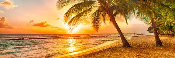 RobForFriends banner