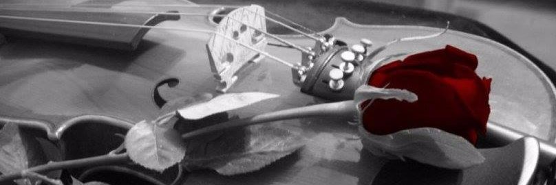 AntoIsMusic's profile banner image
