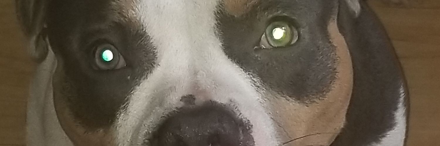 SpliffaRelly's profile banner image