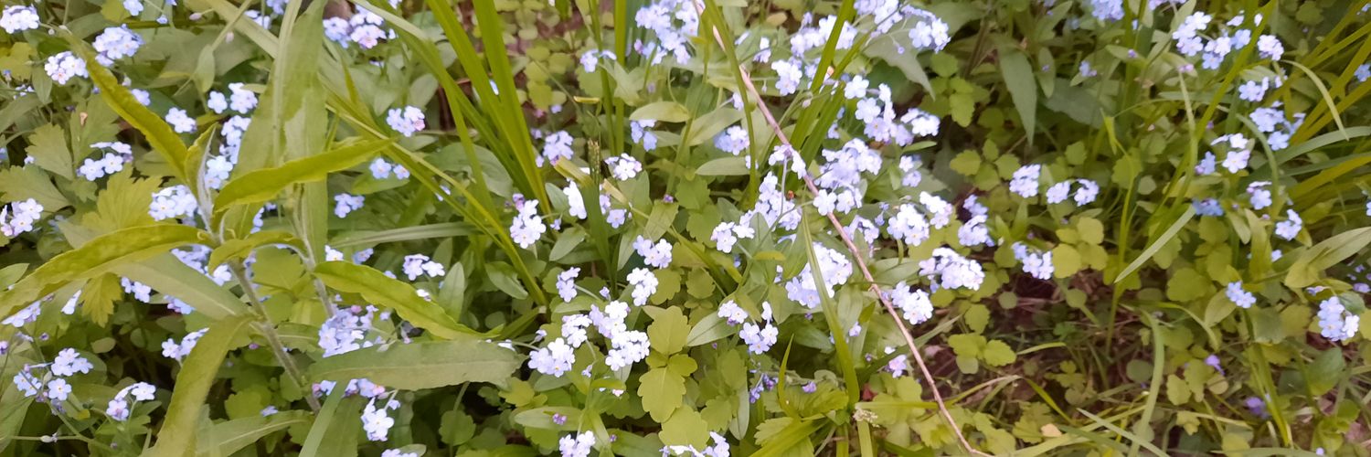 Jovette Francoeur banner