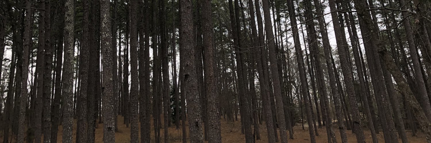 YouDontKnowMeB_'s profile banner image