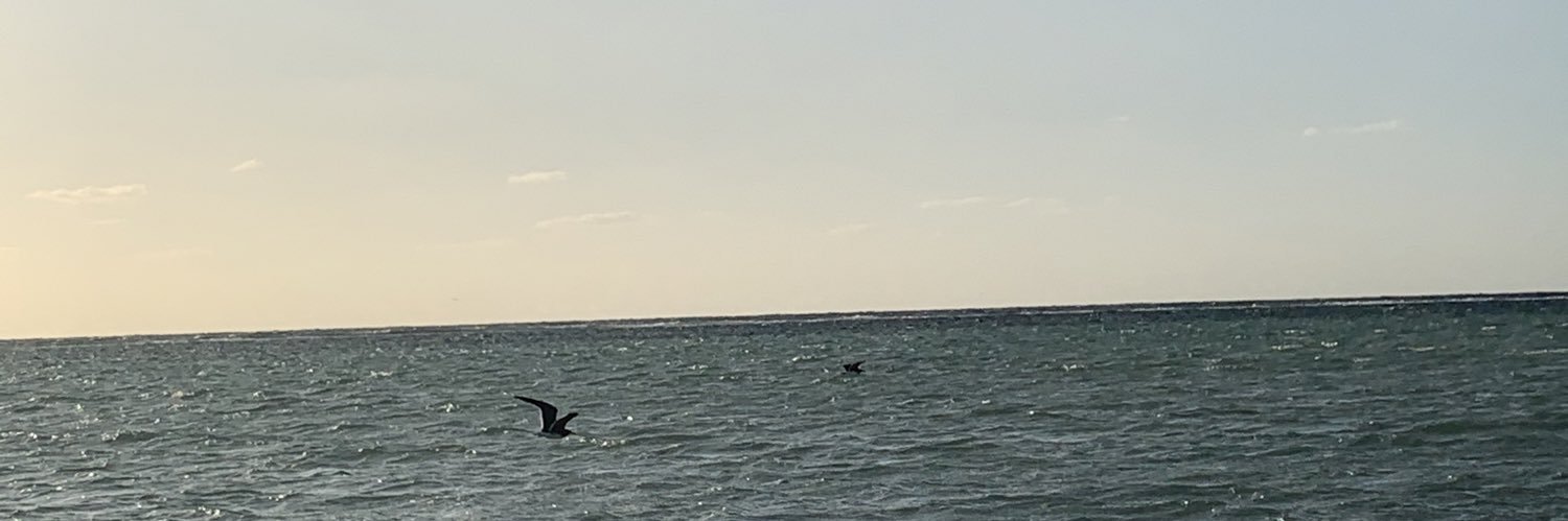 Al Mutairi Shaima banner