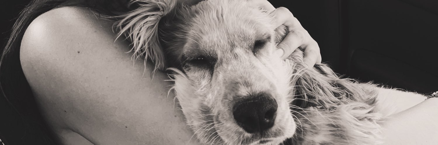 audeplln_'s profile banner image