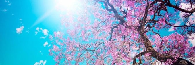 EliLanda17's profile banner image