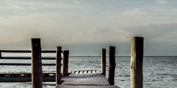 ilsevanrossumx's profile banner image