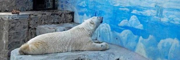 الصبرطيب banner