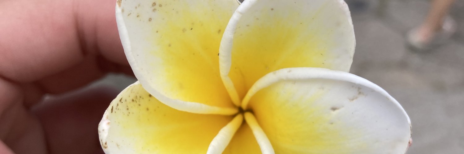 pit_bru's profile banner image