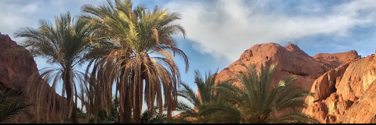 ‏ ‏ ‏ ‏᷂فيصل ☪︎ banner