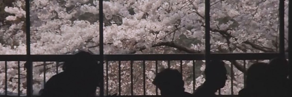 YurikoKido's profile banner image
