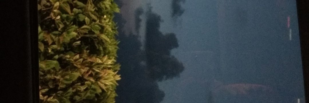 _shudain_'s profile banner image