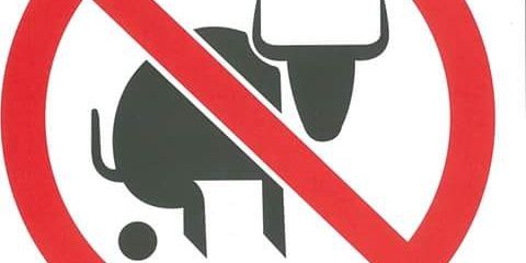 yannis_bakeas's profile banner image