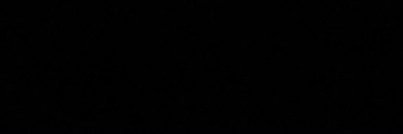 shay banner