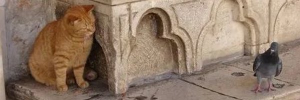 JoeAntonio63 Profile Banner