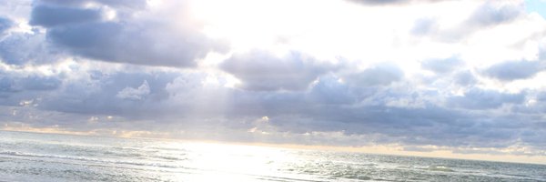 badfloweralec Profile Banner