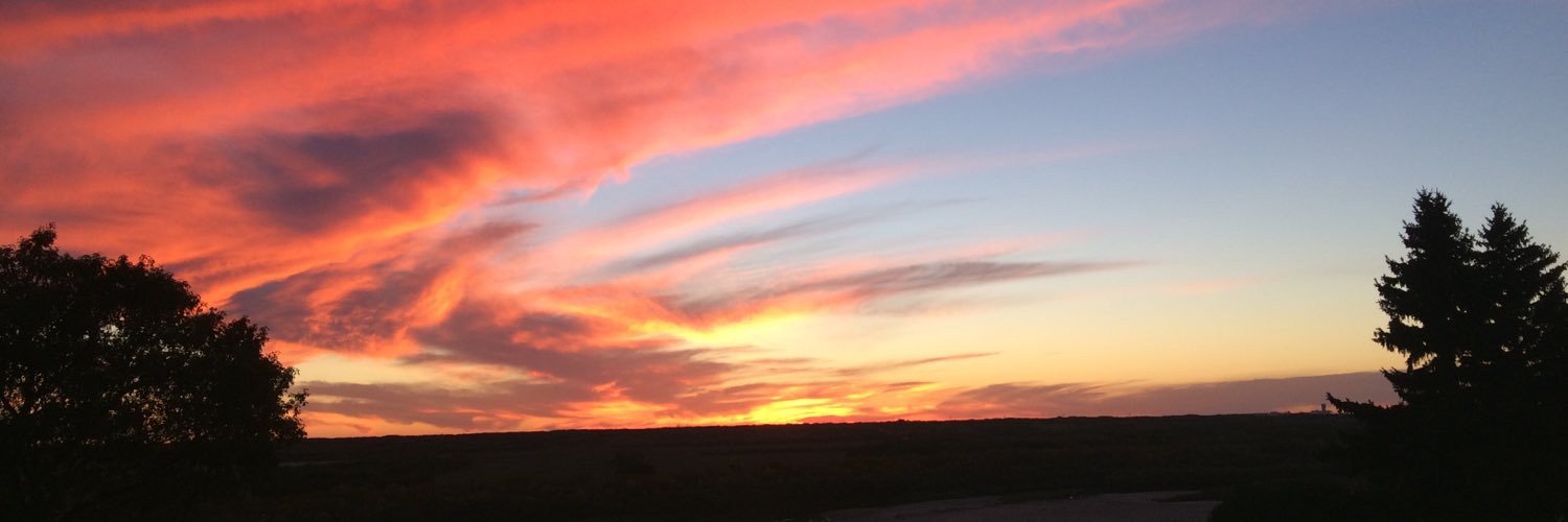 Kady_Reaves's profile banner image