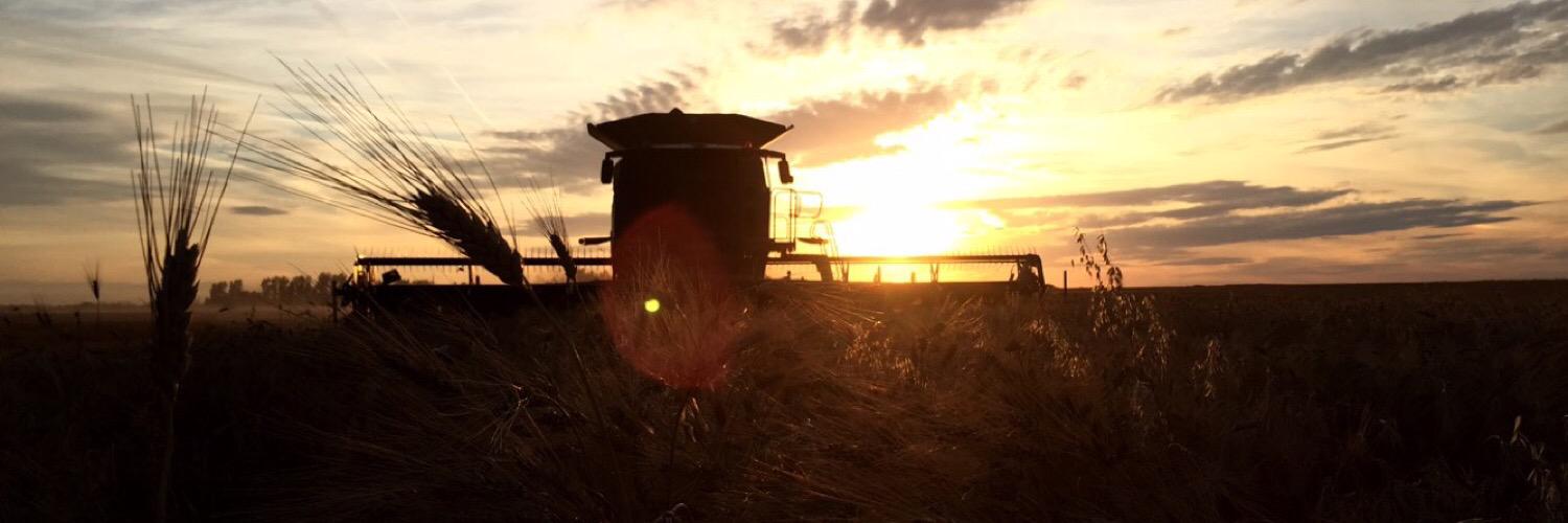 daneanedgar's profile banner image