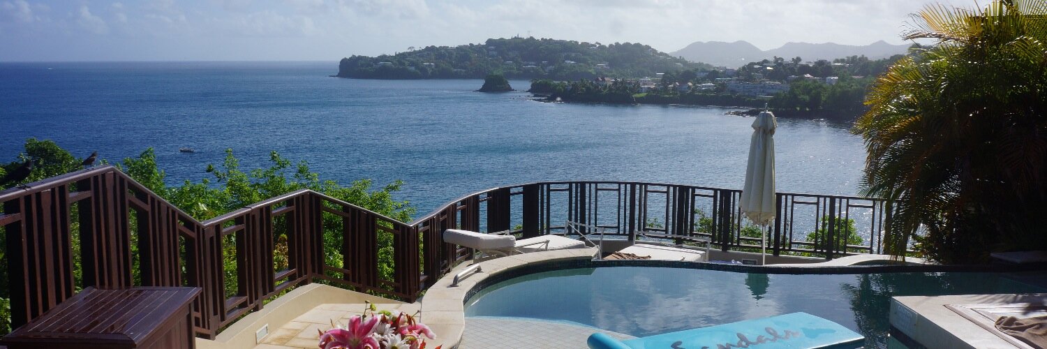 Dr.J.Sanchez-Sotelo banner