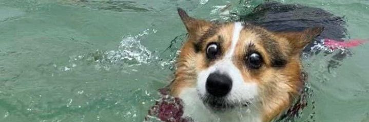 itsnotmeluane's profile banner image