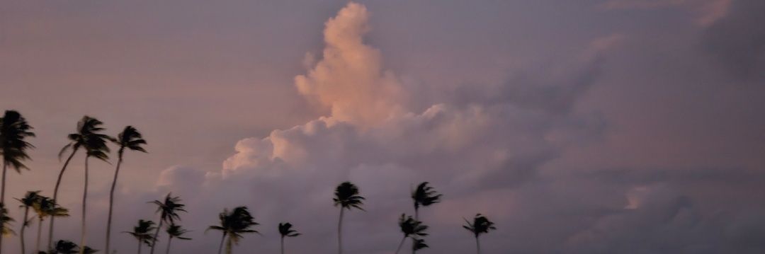 mariafdzap's profile banner image