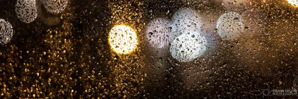 Erwin Profile Banner