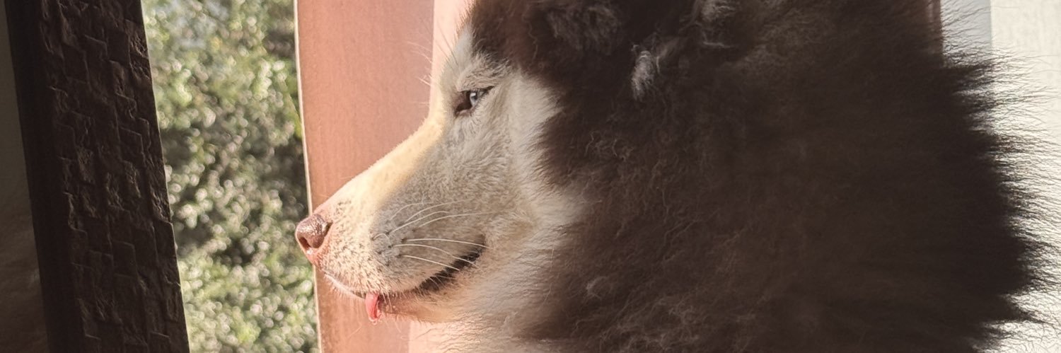 ellexists's profile banner image
