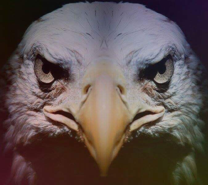 berkay662002's profile banner image