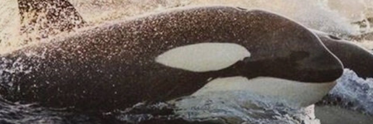 JBerg05's profile banner image