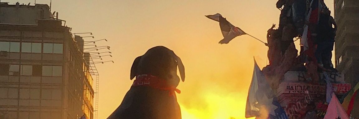 Chilitro's profile banner image