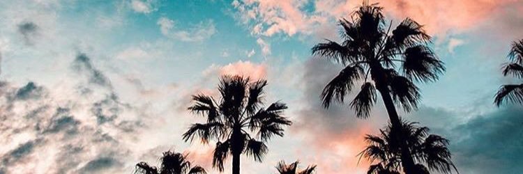 _SheaItAintSo's profile banner image