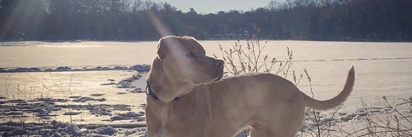 bostonbp's profile banner image