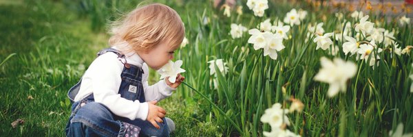 The_IEYC Profile Banner